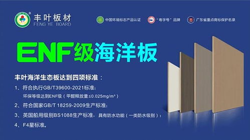 豐葉板材強勢登陸高鐵傳媒春節檔，開啟品牌推廣新篇章