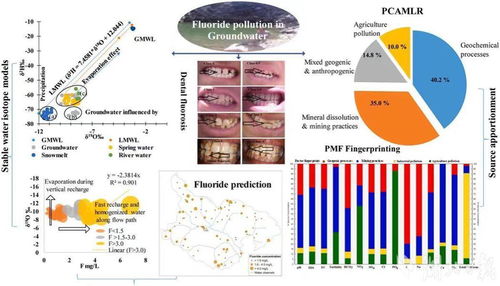 科技服務健康絲路，留學生論文點亮國際學術舞臺