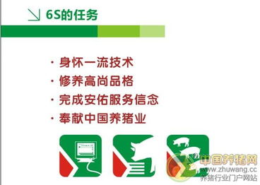 從安佑6S技術(shù)服務(wù)看企業(yè)如何借鑒海底撈式服務(wù)精髓