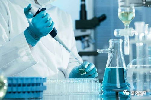 嘉實醫藥化學合成技術服務 專業賦能藥物研發與生產