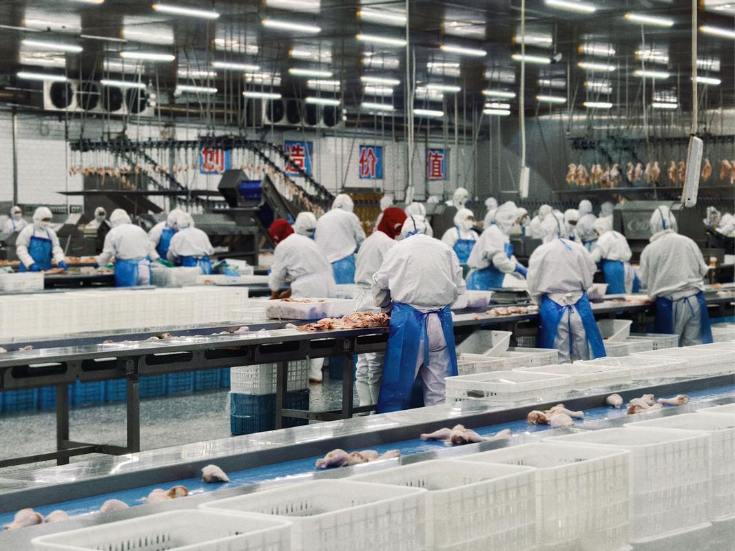 來自臺灣大成 食品集中加工的典范與現代啟示